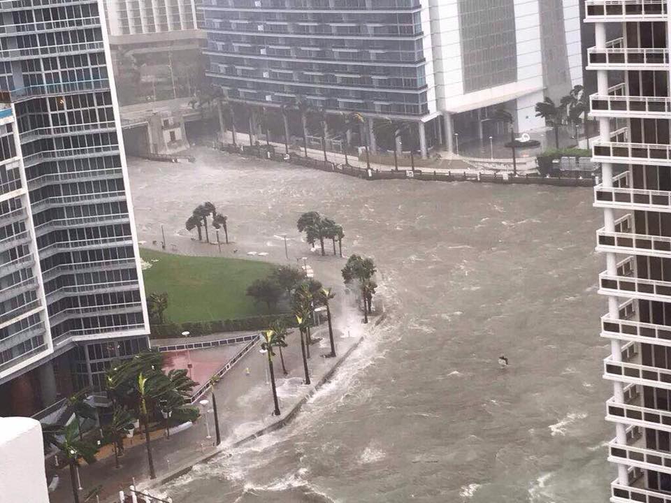 Students from Florida react after Hurricane Irma’s wrath – The Daily Aztec