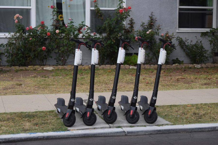 Bird scooters parked on a residential street in the College Area.
