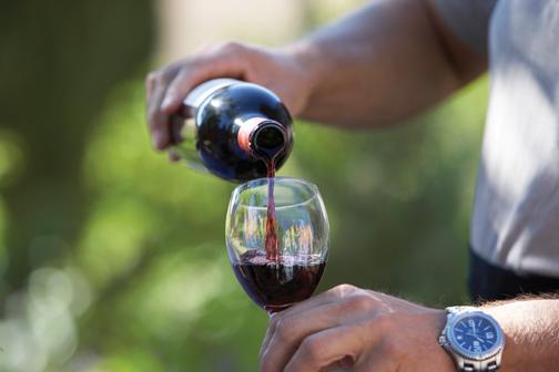 Affordable wine tasting at Orfila Vineyards