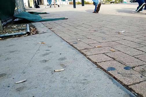 Discarded cigarette butts on campus. Photo by Jimmy Thibault, Staff Photographer