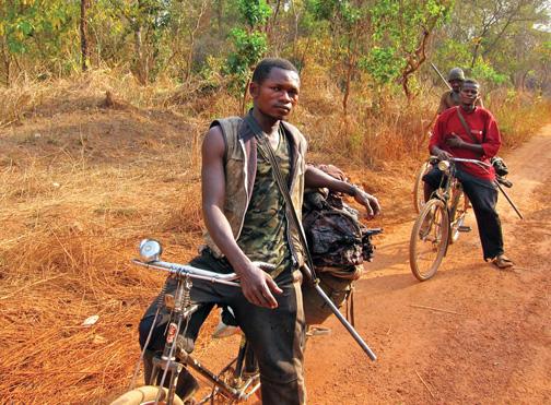 Seleka rebels seize towns in CAR