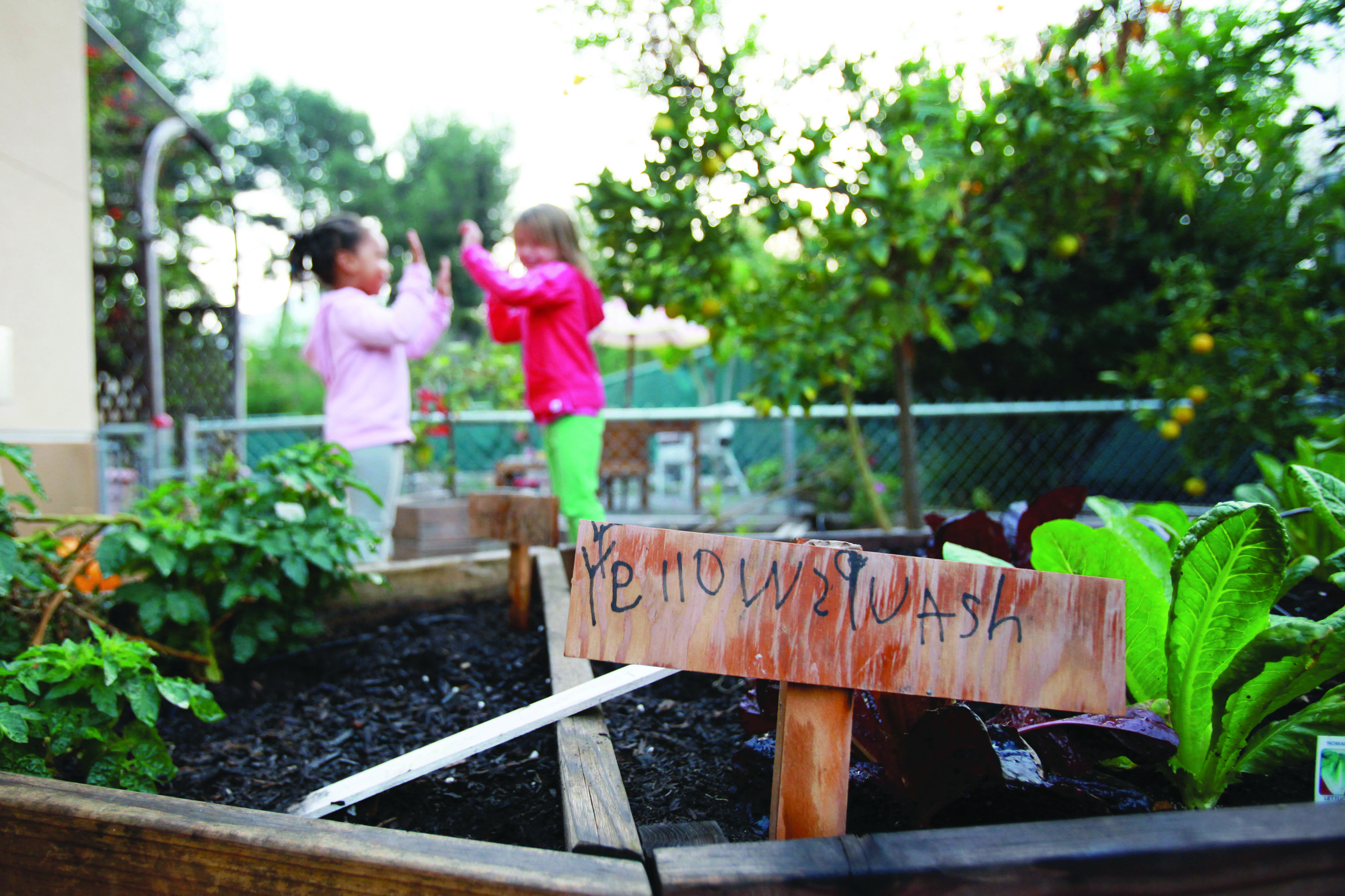 Children’s Center begins composting