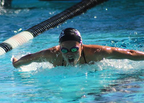 Swimmers, divers defeat Hawaii in dual meet