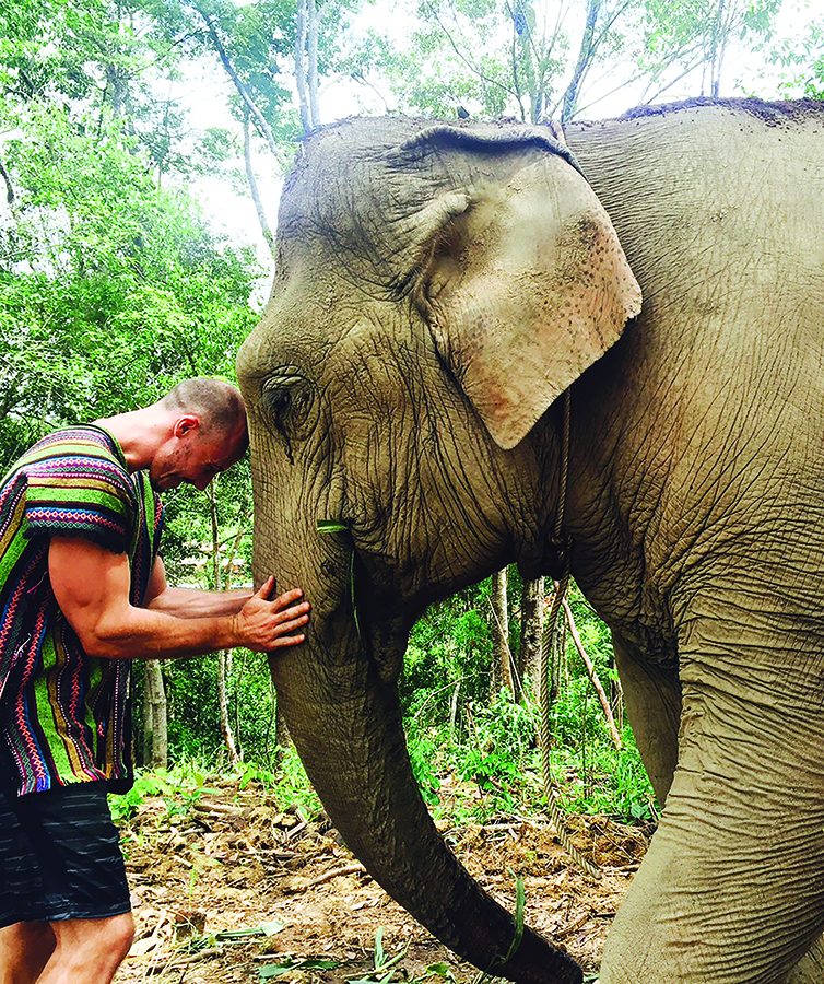 Michael+McHan+interacts+with+an+elephant+in+Chaing+Mai%2C+Thailand+during+his+summer+faculty-led+program.