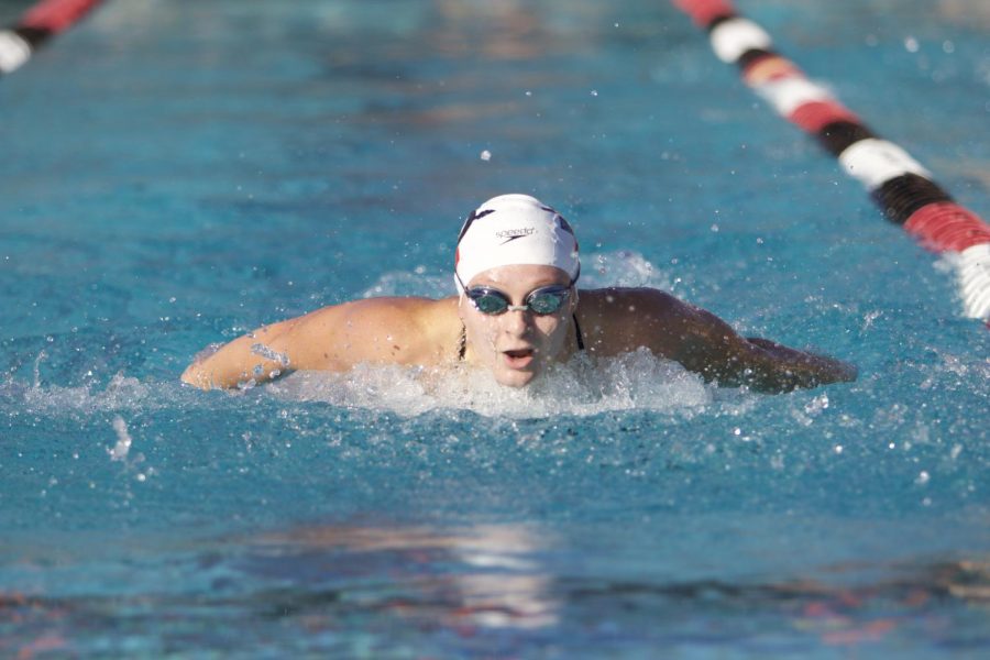 An SDSU swimmer competes in the butterfly event during the Aztecs meet with Pepperdine and UCSD on Dec. 1.
