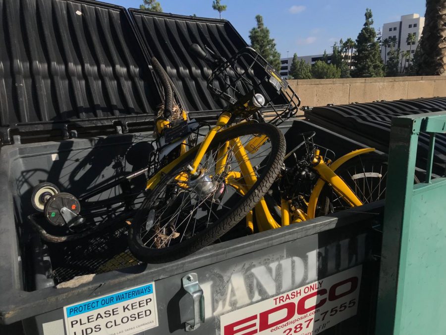 Ofo bikes are often found damaged around campus, something Associated Students Sustainability Commissioner Cassie Weinberg said has contributed to the end of the university's partnership with the company.