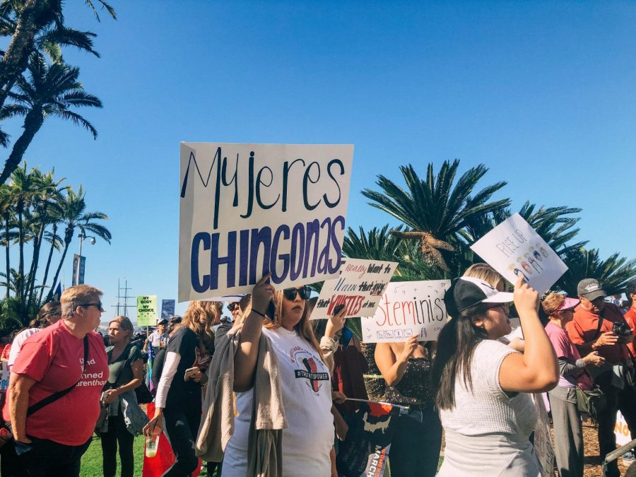 La comunidad de San Diego se unió a la Marcha de las Mujeres el 19 de enero, levantando carteles sobre los derechos de las mujeres, la separación de las familias y el cierre parcial del gobierno. 
