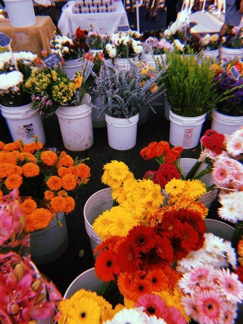 Little Italys Saturday market from a students perspective