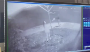 Screenshot from surveillance footage shows woman breaking Menorah.