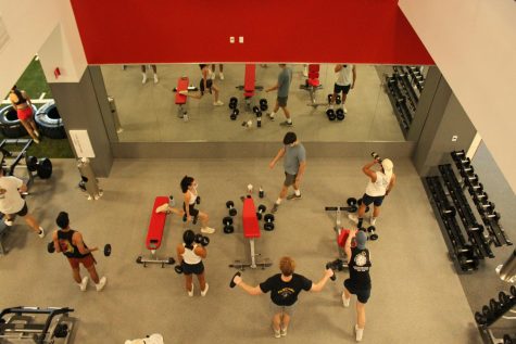 The view from the top level looking down at the free weight area of the gym.