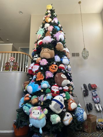 Cayabyab's extensive Squishmallow collection is plentiful enough to cover an entire Christmas tree.