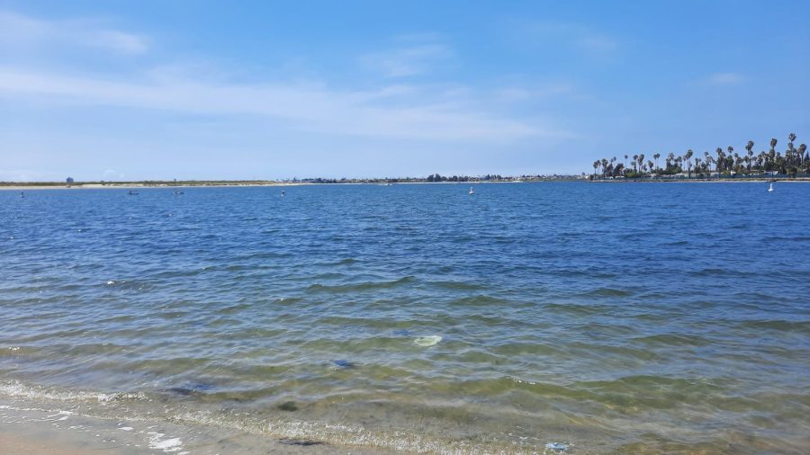 A shot of the water at Mission Bay Park where The San Diego Crew Classic took place.