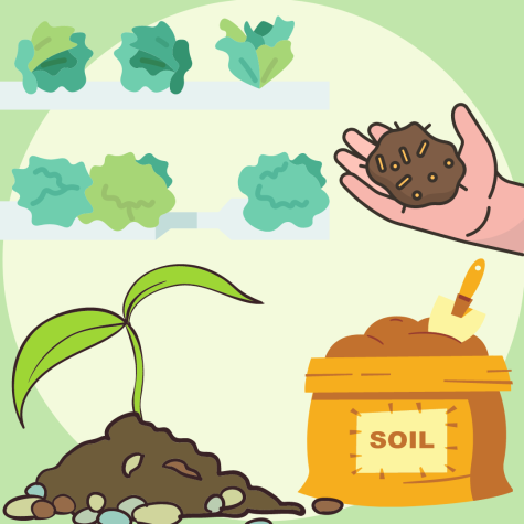Our soil is depleting, consider sustainable alternatives to create change