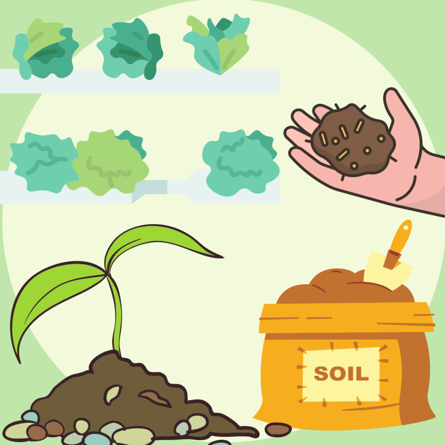 Our+soil+is+depleting%2C+consider+sustainable+alternatives+to+create+change