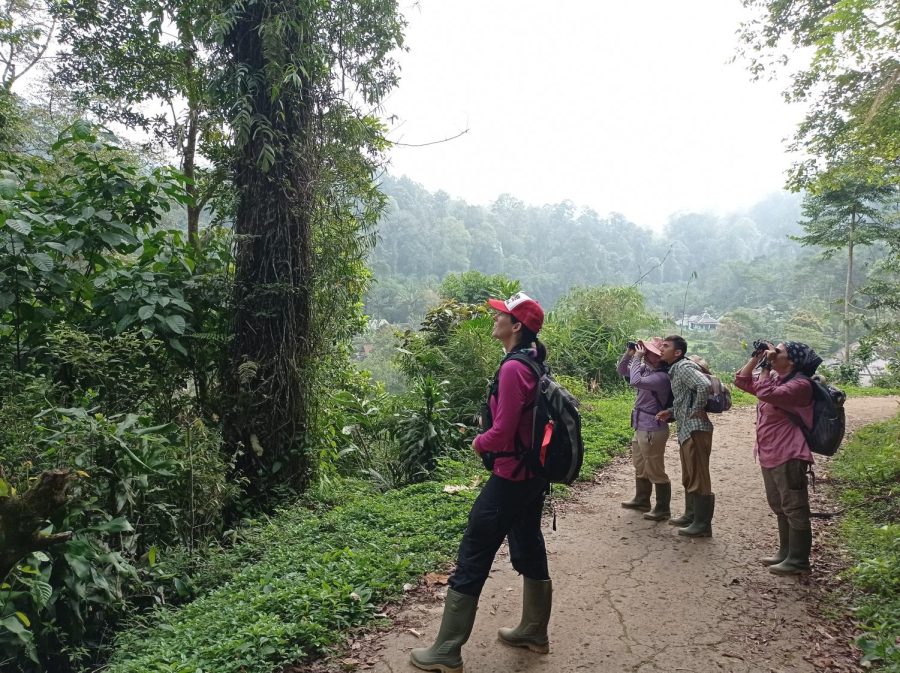 Dr. Erin Riley, left, and three SDSU undergraduate students (Jadyn Skipper, Pedro Rios, and Melissa Callado; left to right) observe the Javan lutong or Ebony langur monkey, Gunung Halimun Salak National Park, Java, Indonesia.
