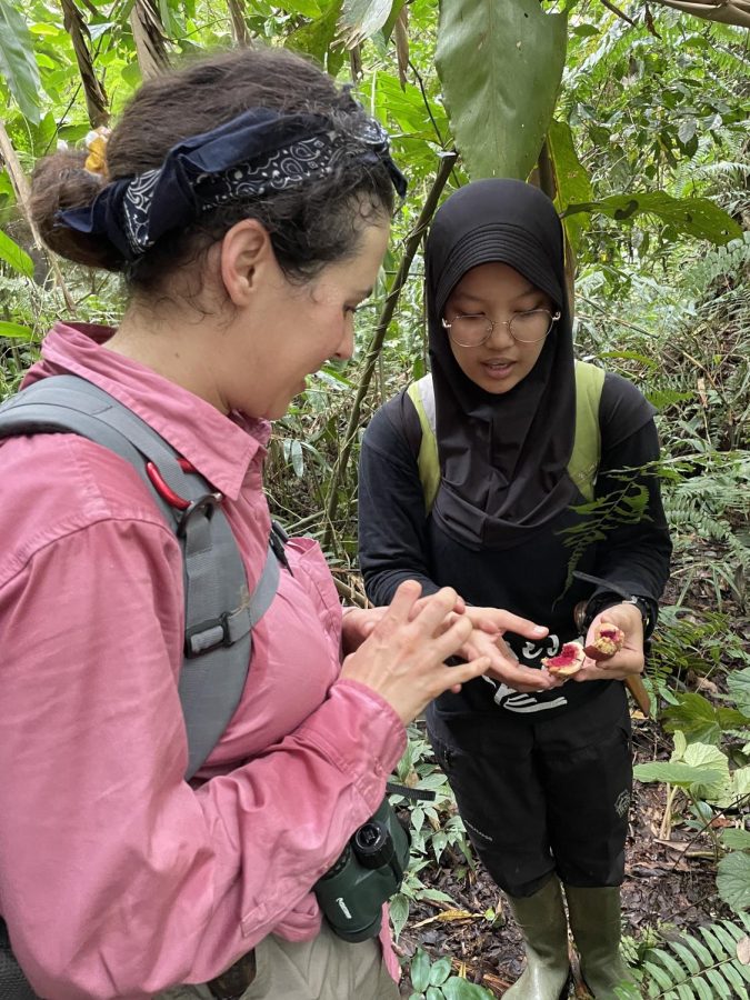 National University graduate student, Rizka Malintan, shows SDSU student, Melissa Callado, fig fruit consumed by Javan gibbons, Gunung Halimun Salak National Park, Java, Indonesia.