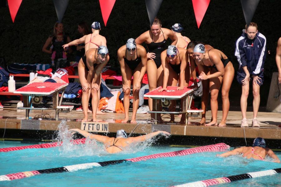 The+San+Diego+State+University+swim+and+dive+team+cheers+as+one+of+their+swimmers+races+home+during+a+butterfly+event+against+Utah+Tech+on+Saturday%2C+Nov.+5.