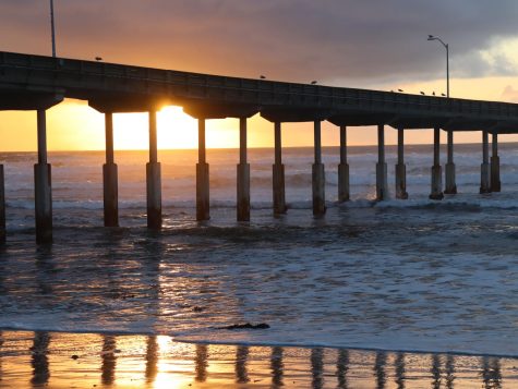 OB Farmers Market  Ocean Beach San Diego CA