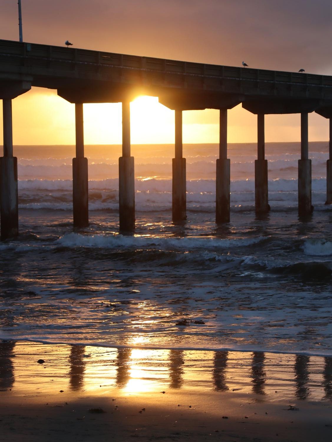 A view of the Ocean Beach pier. 