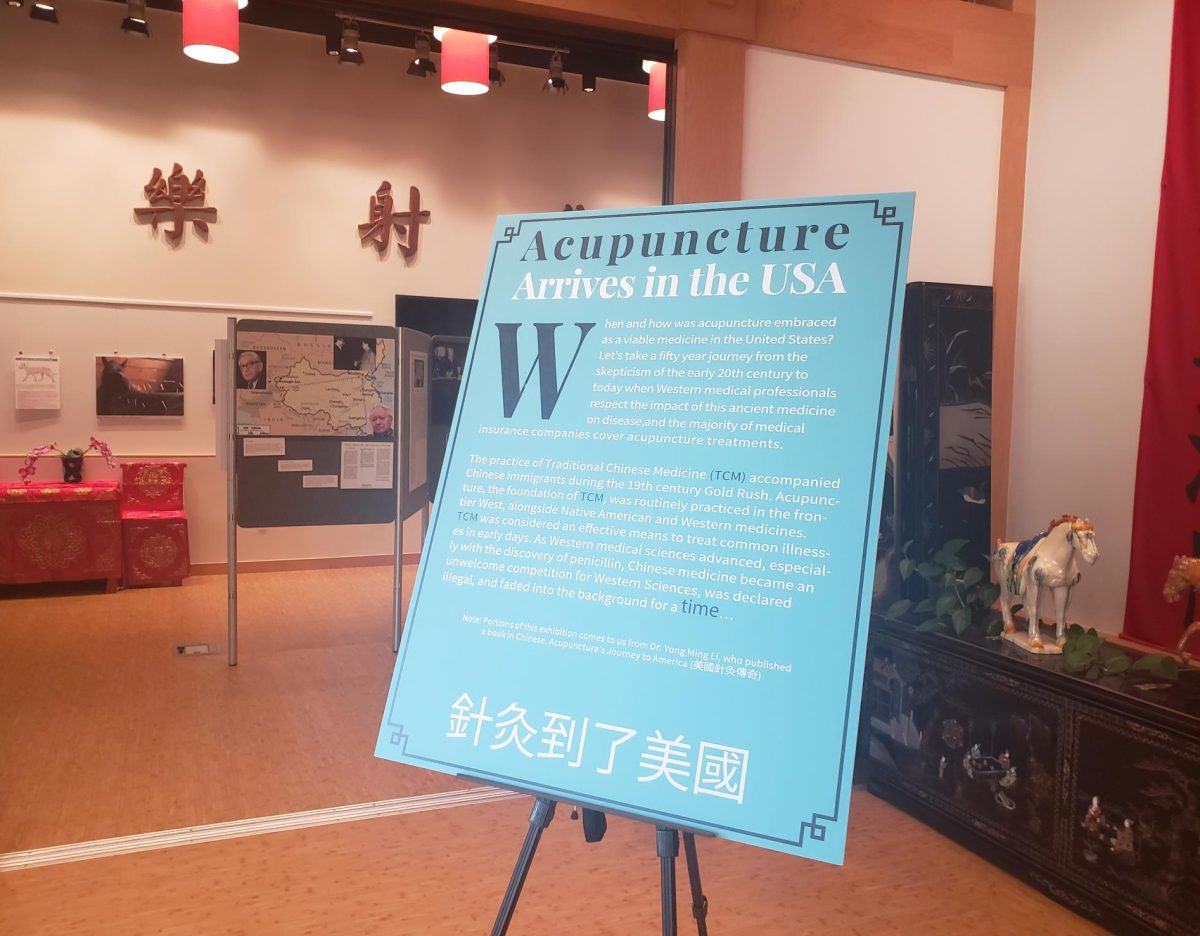 The+current+exhibit+at+the+Chinese+Cultural+Center+aims+to+teach+students+about+acupuncture+