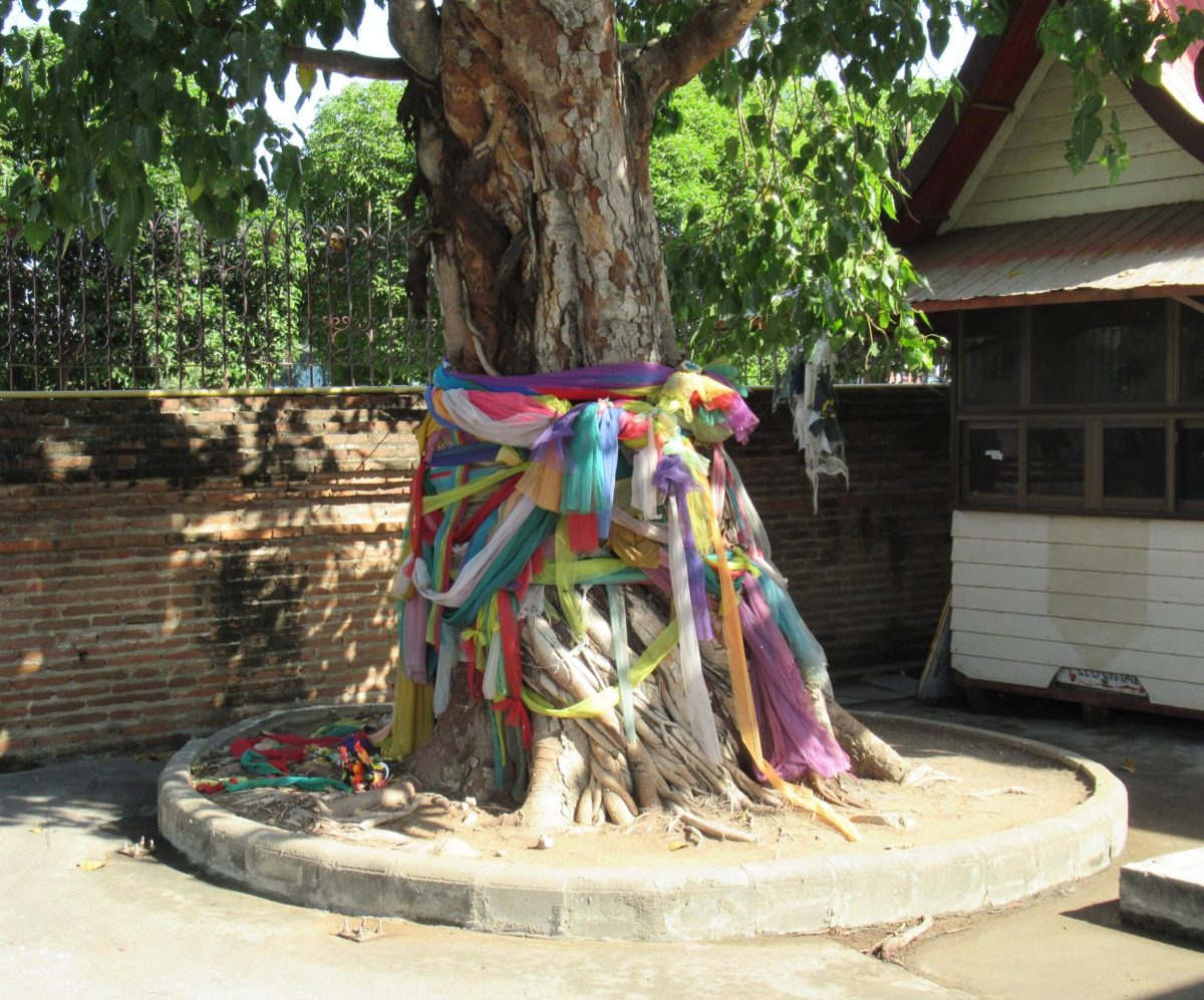 Different+colored+scarves+are+wrapped+around+a+tree+to+represent+and+acknowledge+different+Hindu+gods