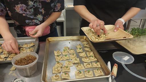 Student Nutrition Organization members Sophi Jacanin and Stacey Lehner prepare trays of cricket hummus and mealworm chips