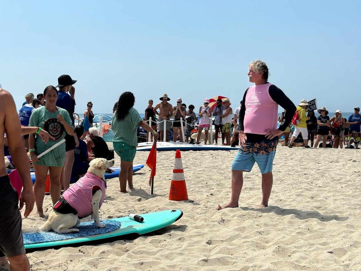 Surfing pups hit the waves at the 19th annual Helen Woodward Animal Center Surf Dog Surf-A-Thon on Sept. 8, 2024