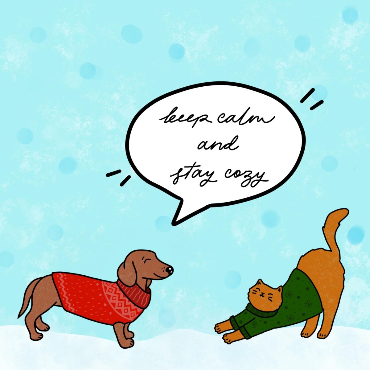 A cute dog and cat play in the snow. The dog says "Keep calm and stay cozy" to commemorate the winter holiday. 