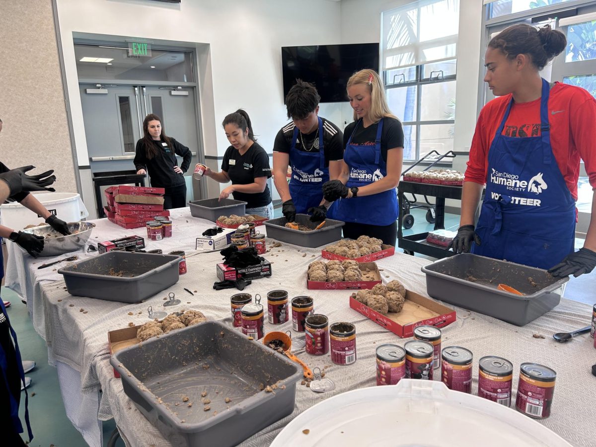 Soccer athletes making meatballs for dog feedings at the San Diego Humane Society on Feb. 14, 2026.