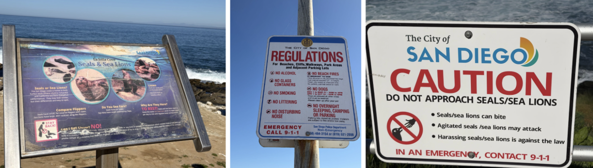 Pictures of signs all around La Jolla, CA warning tourists of Sea Lions