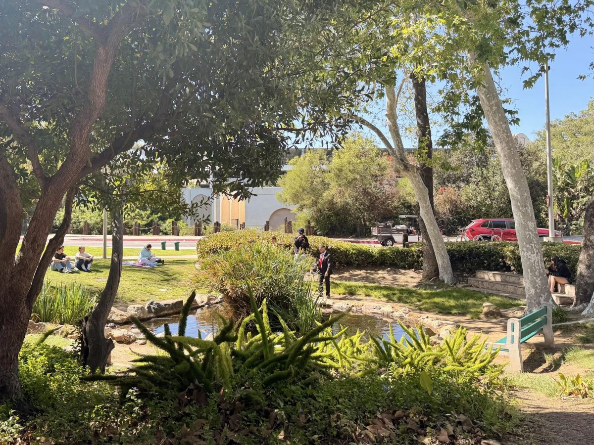Students enjoy the scenery at the SDSU Turtle Pond