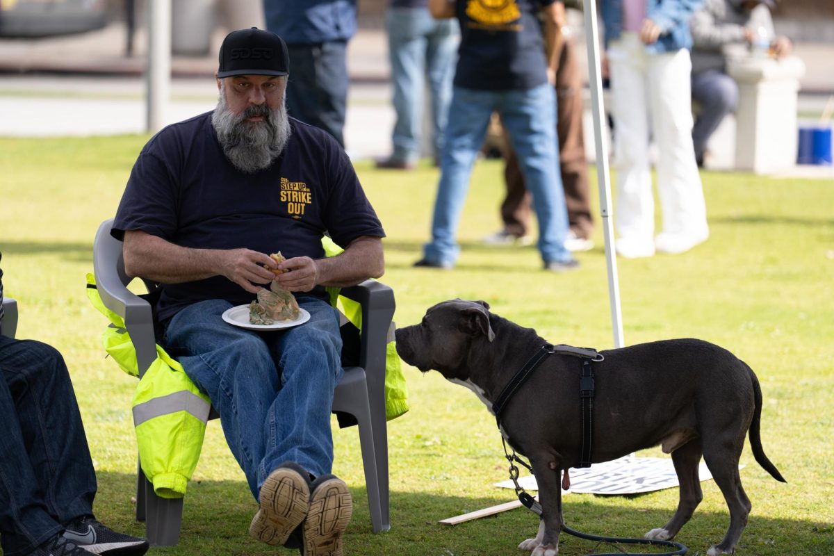 Steve (left) eats a sandwich and takes a break from protesting while Shadow (right) stares at his sandwich on San Diego State University's campus, Tuesday, Feb. 17, San Diego.