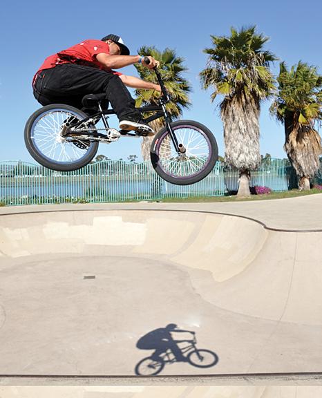 Pop wheels, collars and tags at the OB Skate Park – The Daily Aztec