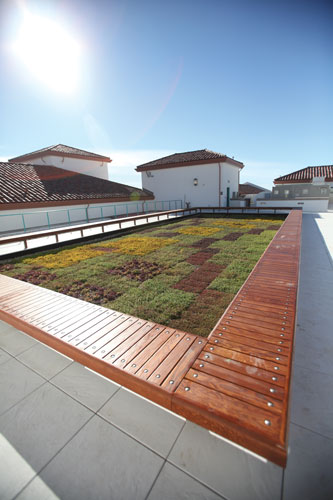 Roof garden